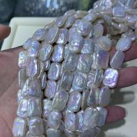 Perles nacres baroques de culture d'eau douce , perle d'eau douce cultivée, DIY, 12-18mm, Vendu par Environ 15 pouce brin