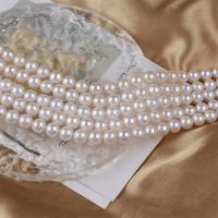 Perlas Redondas Freshwater, Perlas cultivadas de agua dulce, Esférico, Blanco, 8-9mm, Vendido para aproximado 15 Inch Sarta