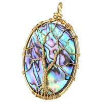 Natural Abalone Shell Pendants Brass with Abalone Shell fashion jewelry & Unisex nickel lead & cadmium free Sold By PC