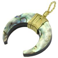 Natural Abalone Shell Pendants, Tibetan Style, with Abalone Shell, Unisex & different styles for choice, nickel, lead & cadmium free, Hole:Approx 8mm, Sold By PC