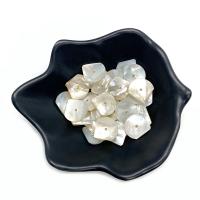 Perles de coquillages blancs, Lèvre blanche, éventail, DIY, blanc, 15x15mm, Vendu par PC