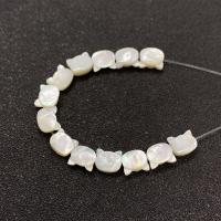 Perles de coquillages blancs, Lèvre blanche, chat, poli, DIY, blanc, 6x7mm, Vendu par PC