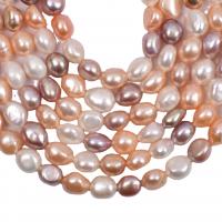 Keshi Cultured Freshwater Pearl Beads irregular DIY mixed colors 9-10mm Sold Per Approx 36-38 cm Strand