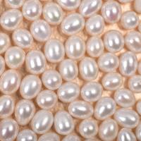 Cultured Rice Freshwater Pearl Beads DIY & half-drilled white Sold By PC