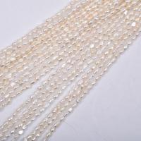 Perle perline Keishi coltivate d'acqua dolce, perla d'acquadolce coltivata naturalmente, Irregolare, DIY, bianco, 3-4mm, Venduto per Appross. 14.96 pollice filo