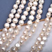 Barocco coltivate in acqua dolce Perla, perla d'acquadolce coltivata naturalmente, Cerchio, DIY, bianco, 10-11mm, Venduto per Appross. 36-38 cm filo