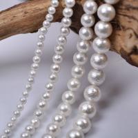 Perline conchiglia mari del sud, Shell Pearl, Cerchio, DIY & formato differente per scelta, bianco, Venduto per Appross. 14.96 pollice filo
