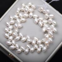 Cultured Rice Freshwater Pearl Beads, DIY, white, 5-6mm, Sold Per Approx 36-38 cm Strand