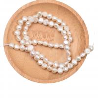 Perle perline Keishi coltivate d'acqua dolce, perla d'acquadolce coltivata naturalmente, Irregolare, DIY, bianco, 4-5mm, Venduto per Appross. 36-38 cm filo