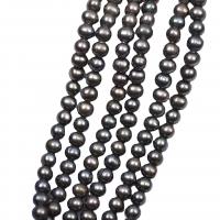 Turno coltivate in acqua dolce Perla, perla d'acquadolce coltivata naturalmente, Cerchio, DIY, nero, 7-8mm, Venduto per Appross. 36-38 cm filo
