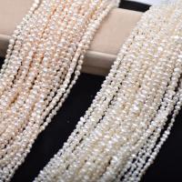 Barok ferskvandskulturperle Beads, Ferskvandsperle, du kan DIY & forskellige stilarter for valg, hvid, 3-4mm, Solgt Per Ca. 14.96 inch Strand
