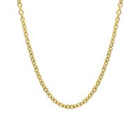 Titanium Steel Necklace with 5cm extender chain 18K gold plated fashion jewelry & for woman Length 40 cm Sold By PC