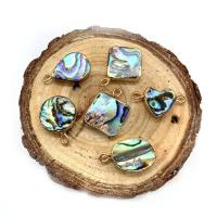 Abalone Shell Pendant, with Brass, gold color plated, Unisex & different styles for choice, more colors for choice, Sold By PC