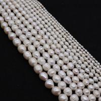 Perlas Arroz Freshwater, Perlas cultivadas de agua dulce, Bricolaje & diverso tamaño para la opción, Blanco, Vendido para aproximado 38 cm Sarta