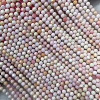 Queen Conch Shell Beads polished DIY & faceted mixed colors 4mm Sold Per Approx 38 cm Strand