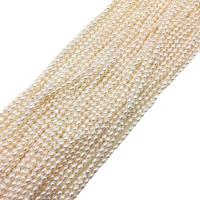 Perlas Arroz Freshwater, Perlas cultivadas de agua dulce, beige, 2-3mm, Vendido para aproximado 10.62 Inch Sarta