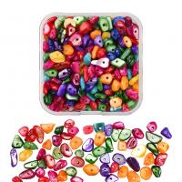 Natürliche farbige Muschelperlen, Muschel, mit Kunststoff Kasten, DIY, gemischte Farben, 53x54x20mm, verkauft von Box