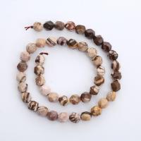Zebra Jasper Beads, Round, polished, Star Cut Faceted & DIY & different size for choice, mixed colors, Sold Per Approx 14.96 Inch Strand