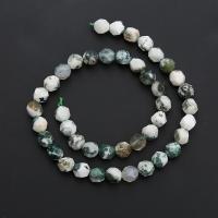 Tree Agate Beads, Round, polished, Star Cut Faceted & DIY & different size for choice, mixed colors, Sold Per Approx 14.96 Inch Strand