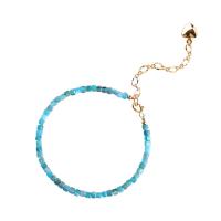 Apatites bracelet, avec 201 acier inoxydable, avec 5cm chaînes de rallonge, Réglable & pour femme, bleu, 2.50mm, Longueur:Environ 14-18 cm, Vendu par PC