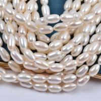 Perlas Arroz Freshwater, Perlas cultivadas de agua dulce, Bricolaje, Blanco, 7x11mm, Vendido para 36-38 cm Sarta