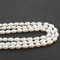 Rice ferskvandskulturperle Beads, Ferskvandsperle, Ris, du kan DIY, hvid, 7x12mm, Solgt Per 36-38 cm Strand