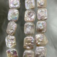 Perles de culture d'eau douce Keishi, perle d'eau douce cultivée, Baroque, Naturel & DIY, blanc, 14x16mm, Vendu par 36-39 cm brin