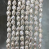 Keishi Tenyésztett édesvízi gyöngy Gyöngyök, Édesvízi gyöngy, Természetes & DIY & különböző méretű a választás, fehér, Naponta eladott 36-39 cm Strand