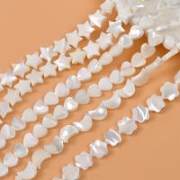 Natural White Shell Perler, du kan DIY & forskellige stilarter for valg, hvid, Solgt af Strand