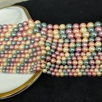South Sea Shell perle, Shell Pearl, Krug, pozlaćen, možete DIY & različite veličine za izbor, miješana boja, nikal, olovo i kadmij besplatno, Prodano Per Približno 14.96 inčni Strand