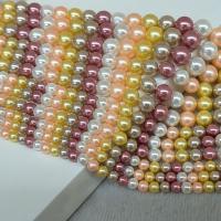 South Sea Shell perle, Shell Pearl, Krug, pozlaćen, možete DIY & različite veličine za izbor, miješana boja, nikal, olovo i kadmij besplatno, Prodano Per Približno 14.96 inčni Strand