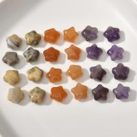 Gemstone smykker perler, Ædelsten, Stjerne, du kan DIY & forskellige materialer til valg, 10mm, Hole:Ca. 0.9mm, Solgt af PC