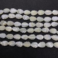 Vit Lip Shell Bead, Leaf, Sned, DIY, vit, 10x14mm, Såld Per Ca 38 cm Strand