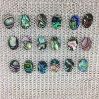 Abalone Shell Cabochon, Flat Oval, Carved, DIY, multi-colored, 10x14mm, Sold By PC