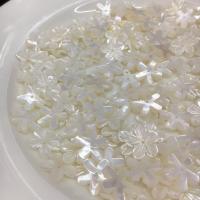 Perles de coquillages blancs, Lèvre blanche, fleur, gravé, DIY, blanc, 15mm, Vendu par PC