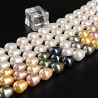 Shell Pearl Beads, DIY, more colors for choice, nickel, lead & cadmium free, 14x17mm, Sold Per Approx 15.75 Inch Strand