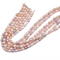 Perlas Arroz Freshwater, Perlas cultivadas de agua dulce, Natural & Bricolaje & para mujer, multicolor, 5-6mm, Vendido para 36-38 cm Sarta