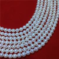 Perles de nacre rondes de culture d'eau douce, perle d'eau douce cultivée, DIY, blanc, 8-9mm, Vendu par Environ 40 cm brin