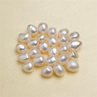 Cultured No Hole Freshwater Pearl Beads DIY Approx Sold By Bag