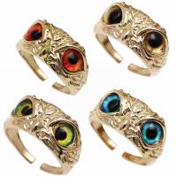 Resin Finger Ring Brass with Resin Owl gold color plated fashion jewelry & Unisex nickel lead & cadmium free Sold By PC