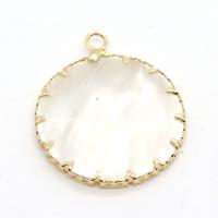 Shell Pendants Natural Seashell with Brass Flat Round gold color plated DIY & Unisex & 1/1 loop 25mm Sold By PC