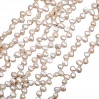 Perlas Keishi Cultivadas de Agua Dulce, Perlas cultivadas de agua dulce, Natural & Bricolaje, Blanco, 5-6mm, Vendido para 36-38 cm Sarta