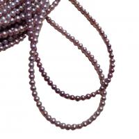 Perlas Redondas Freshwater, Perlas cultivadas de agua dulce, Ligeramente redondo, Natural & Bricolaje, Púrpura, 3-3.5mm, Vendido para 40 cm Sarta