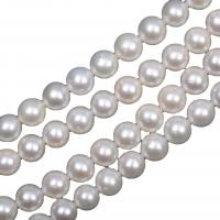 Cultured Round Freshwater Pearl Beads, Slightly Round, Natural & DIY & different size for choice, white, Sold By Strand