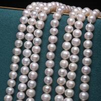 Perles de nacre rondes de culture d'eau douce, perle d'eau douce cultivée, DIY, blanc, 7-8mm, Environ 56PC/brin, Vendu par brin