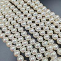ABS-Kunststoff-Perlen, DIY & verschiedene Größen vorhanden, weiß, verkauft von PC