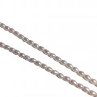 Collier de chaîne en laiton de perles d'eau douce, perle d'eau douce cultivée, avec laiton, Placage de couleur d'or, longueur différente pour le choix & pour femme, blanc, 3-3.5mm, Vendu par PC