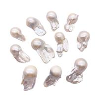 Cultured Baroque Freshwater Pearl Beads, irregular, polished, DIY, white, 16x30-21x38mm, Sold By PC