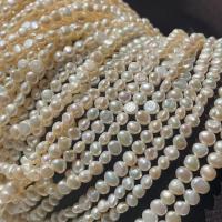 Perle perline Keishi coltivate d'acqua dolce, perla d'acquadolce coltivata naturalmente, Barocco, DIY, bianco, 4-5mm, Venduto per Appross. 14.17 pollice filo