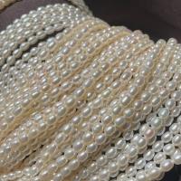 Cultured Rice Freshwater Pearl Beads DIY white 4.5-5mm Sold Per Approx 14.17 Inch Strand